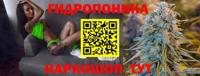 стафф Ярославль